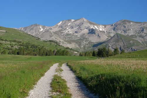 Alpage du Chauvet en toile de fond
